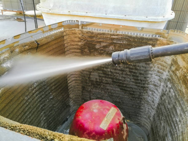 Best Air Duct Mold Removal  in Windsor Heights, IA