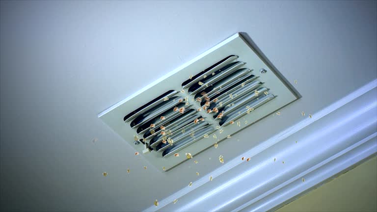 Best Air Duct Cleaning Company Near Me  in Windsor Heights, IA