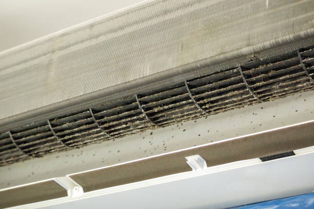 Best Air Duct Cleaning Cost  in Windsor Heights, IA