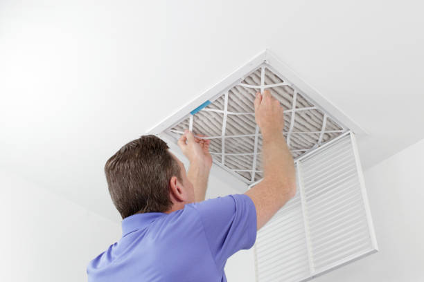 Best Air Duct Sanitizing Services  in Windsor Heights, IA